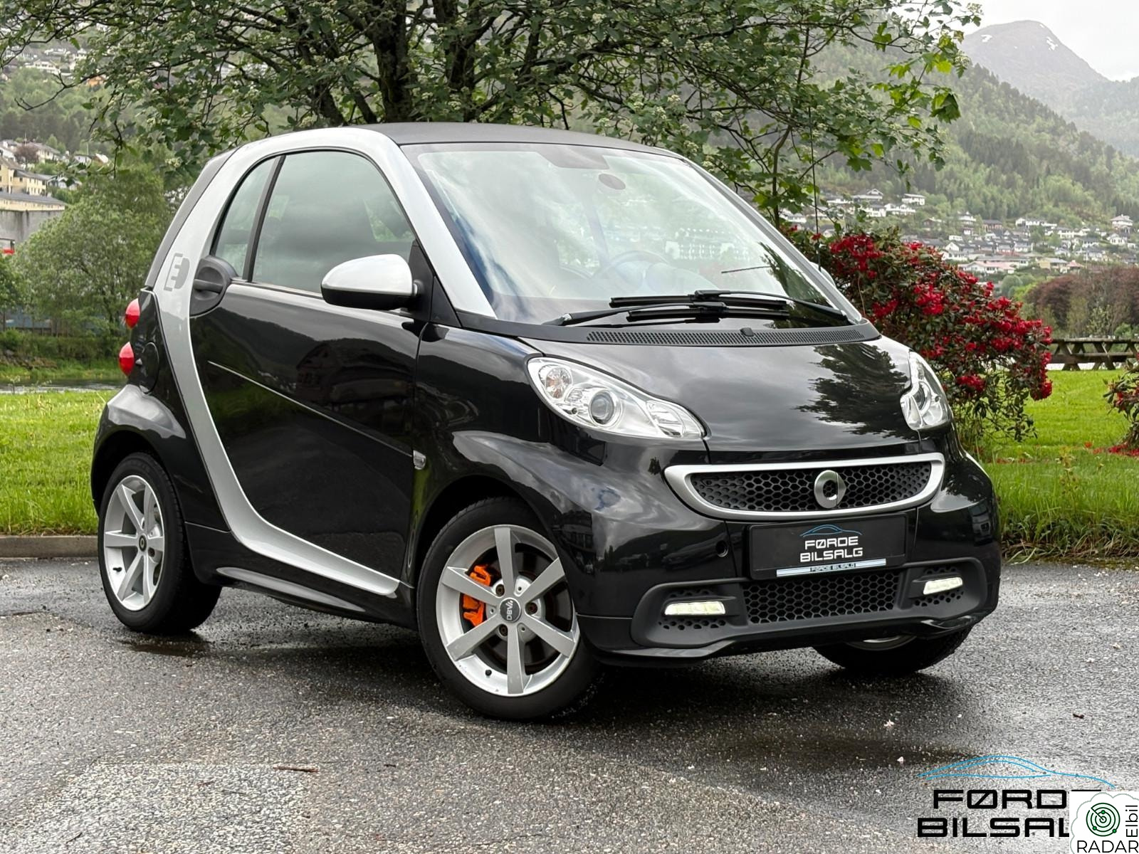 SMART electric drive Electric drive/DAB+/Automat