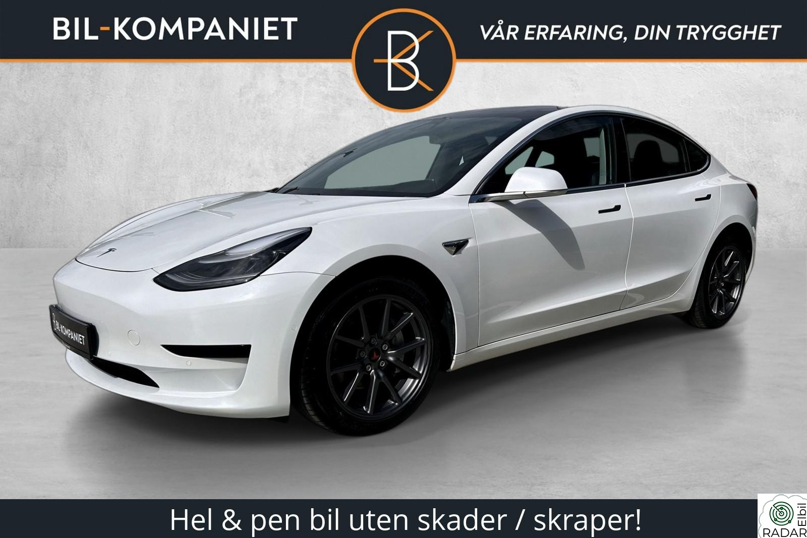 TESLA Model 3 Standard Range + RWD | Skinn | Panorama | EU 07/27