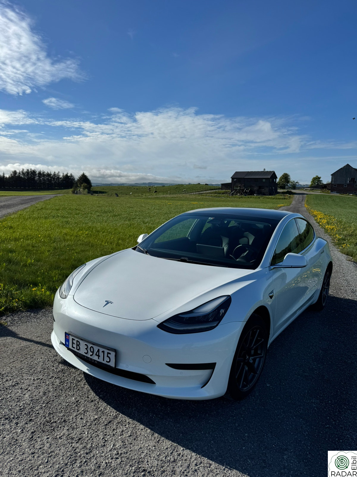 TESLA Model 3 Standard Range Plus RWD