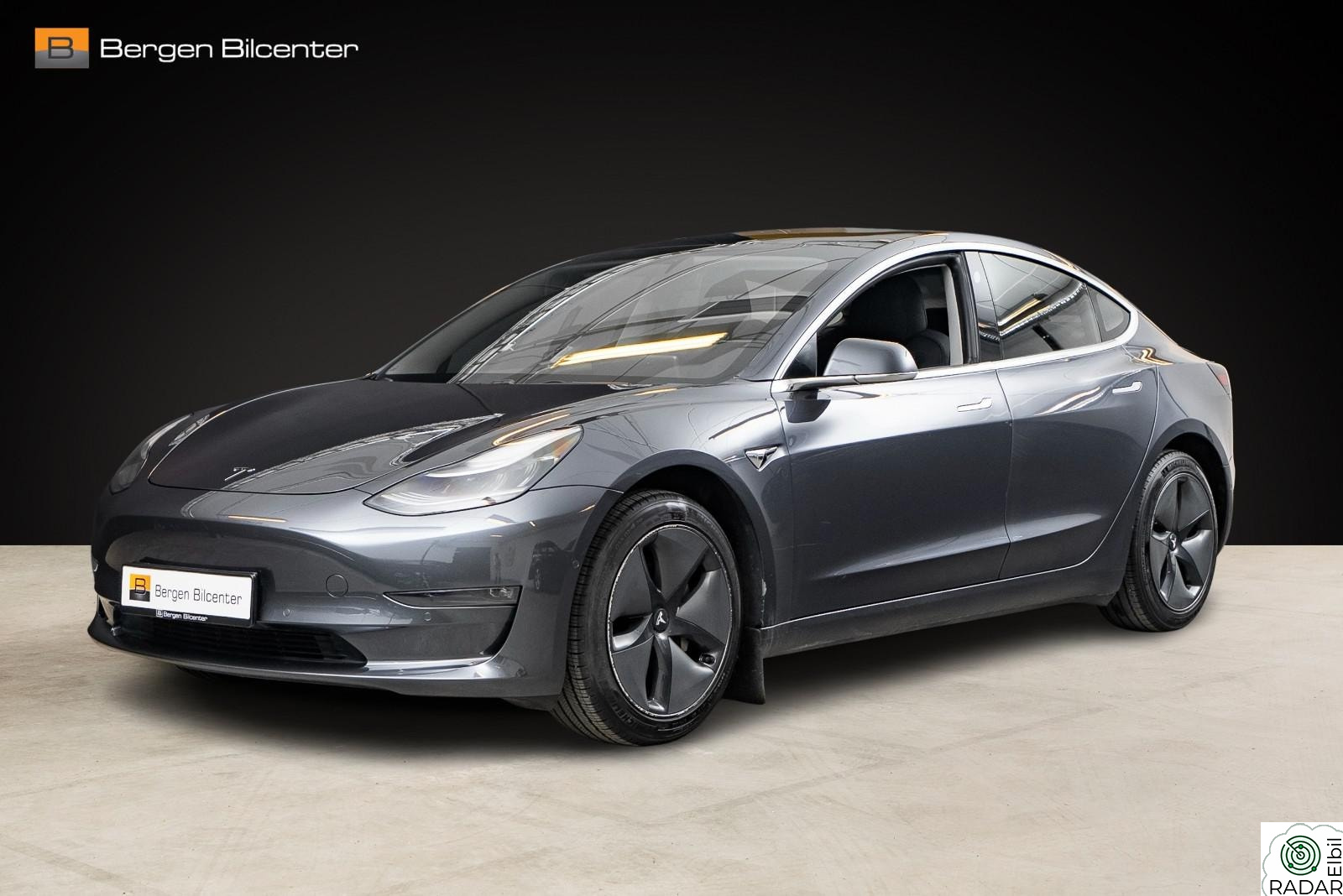 TESLA Model 3 Standard Range Plus Skinn Ryggekamera Hengefeste