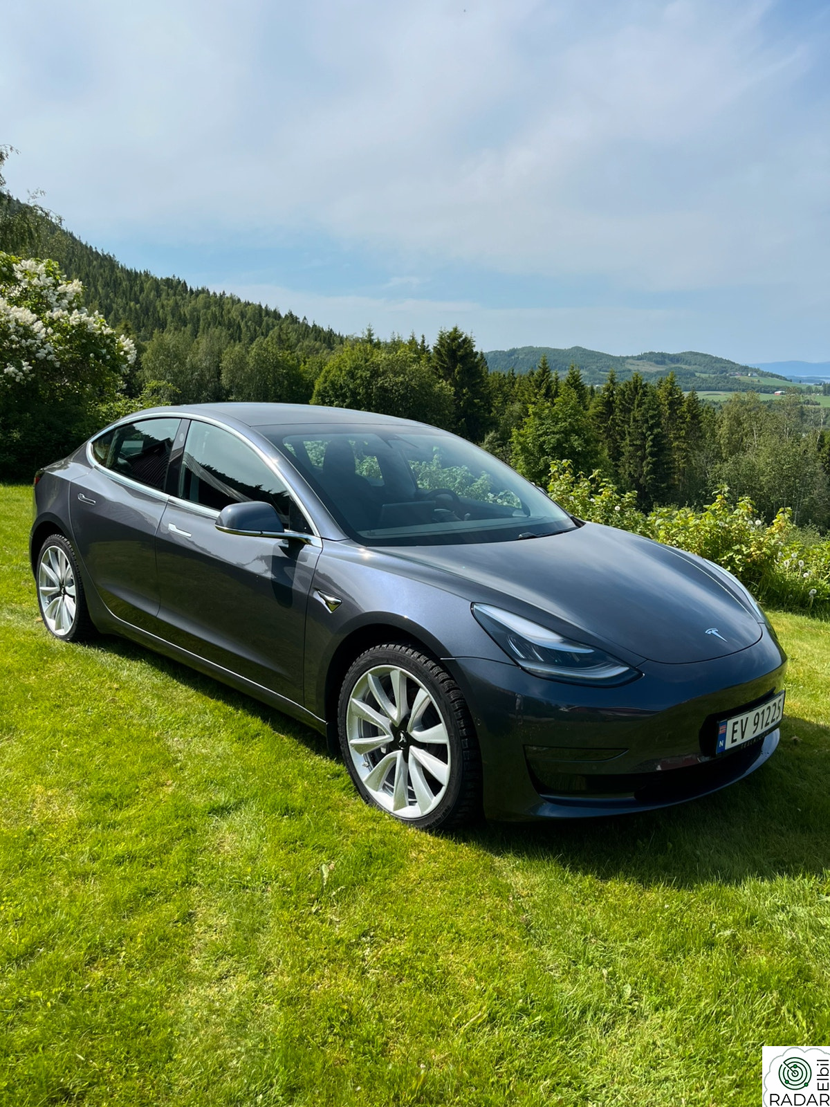 TESLA Model 3 Standard Range Plus RWD