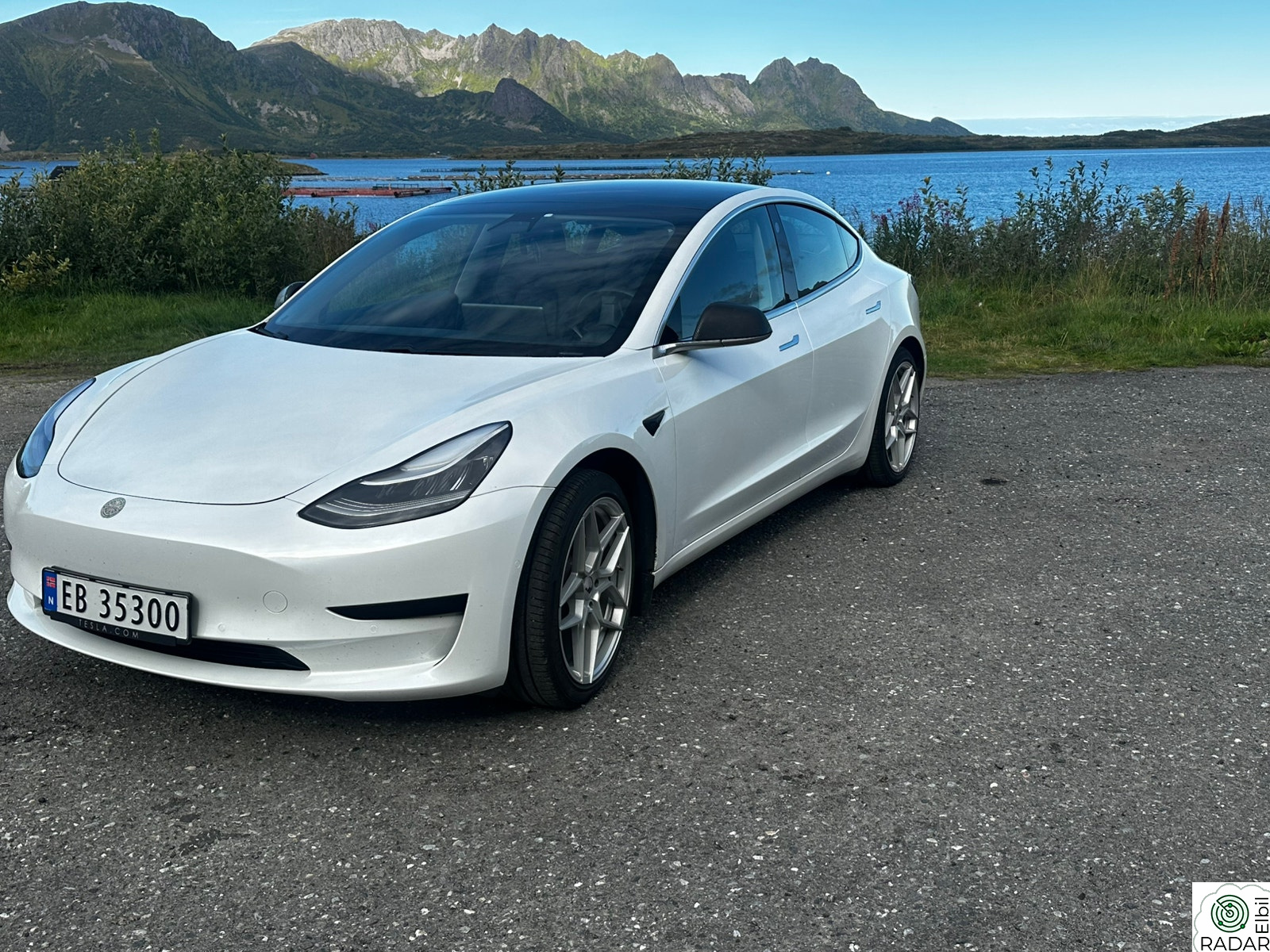 TESLA Model 3 Standard Range Plus RWD