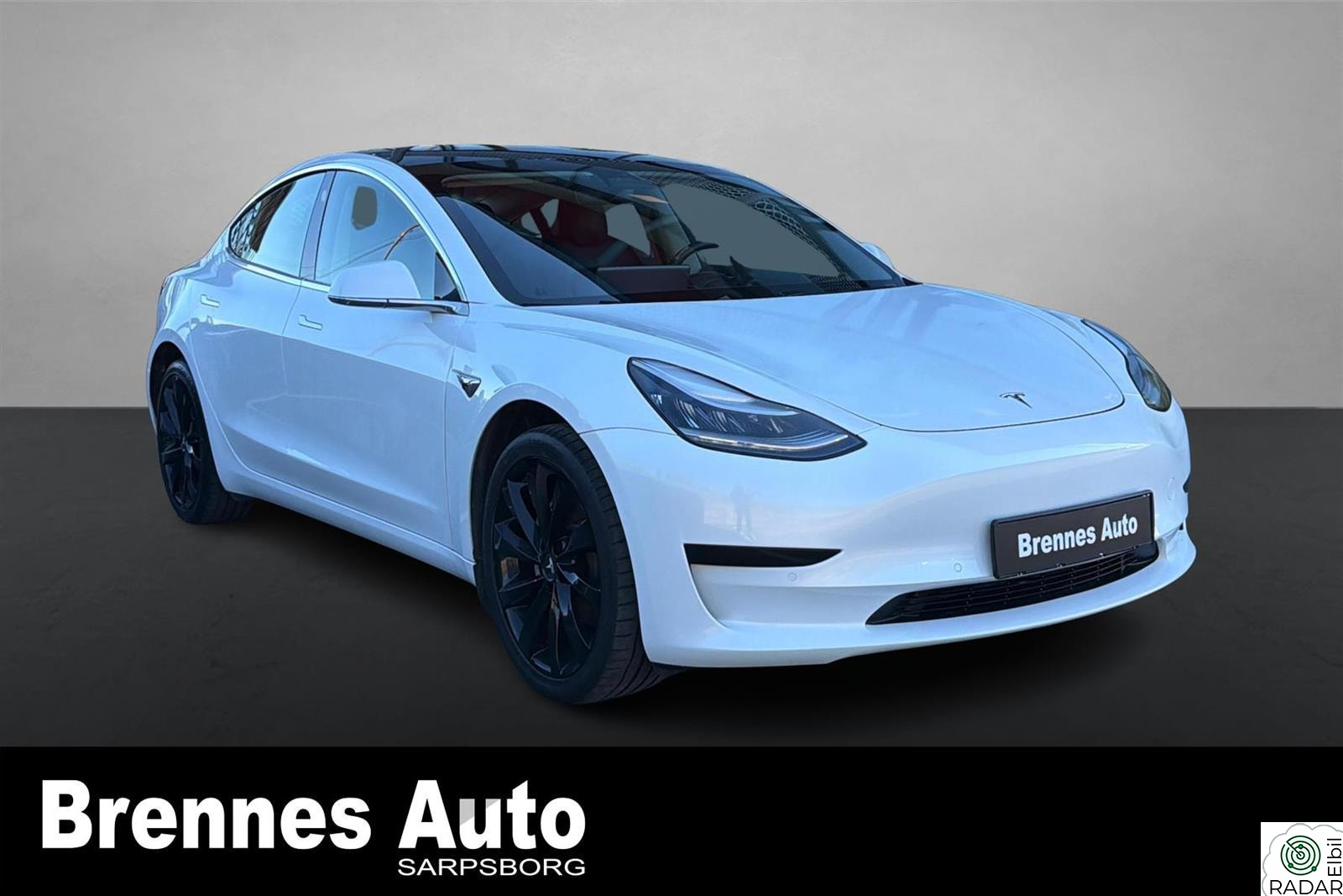 TESLA Model 3 Standard Range /Skinn/Navi/Panoramatak