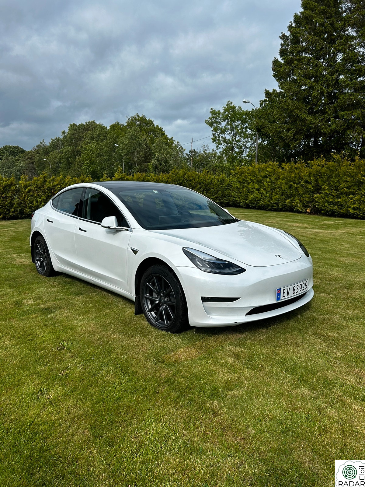 TESLA Model 3 Standard Range Plus RWD