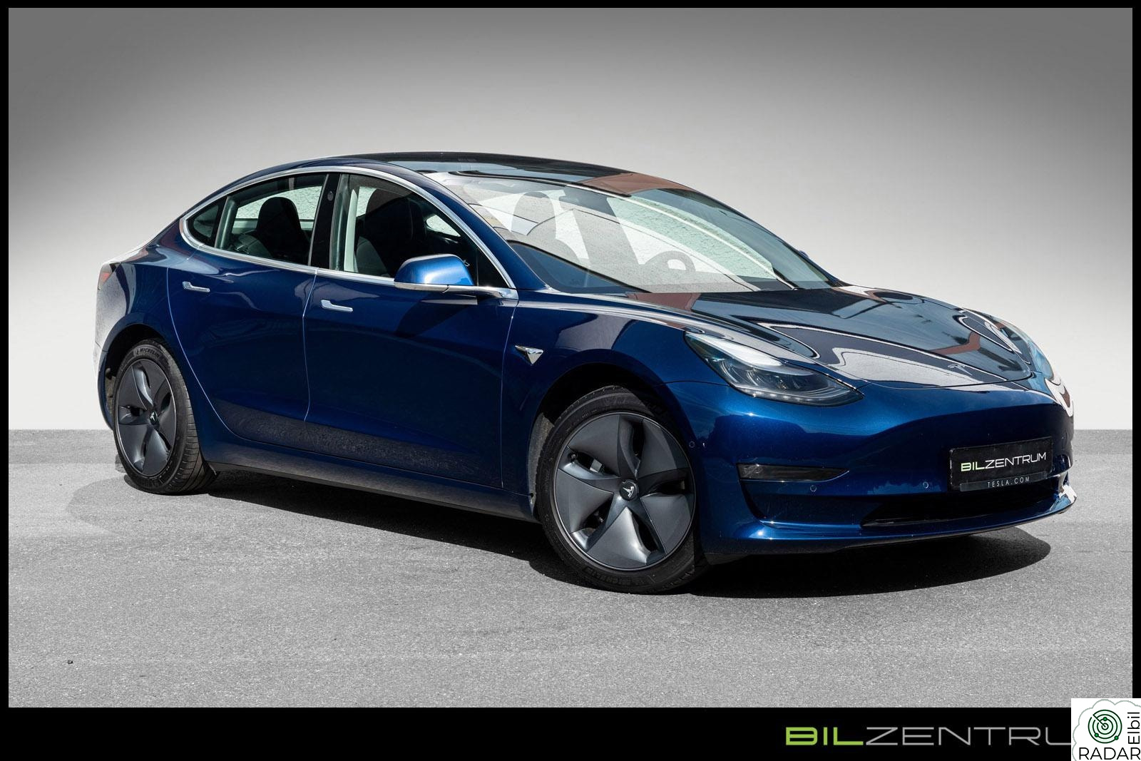 TESLA Model 3 Standard Range Plus Skinn Panorama FSD
