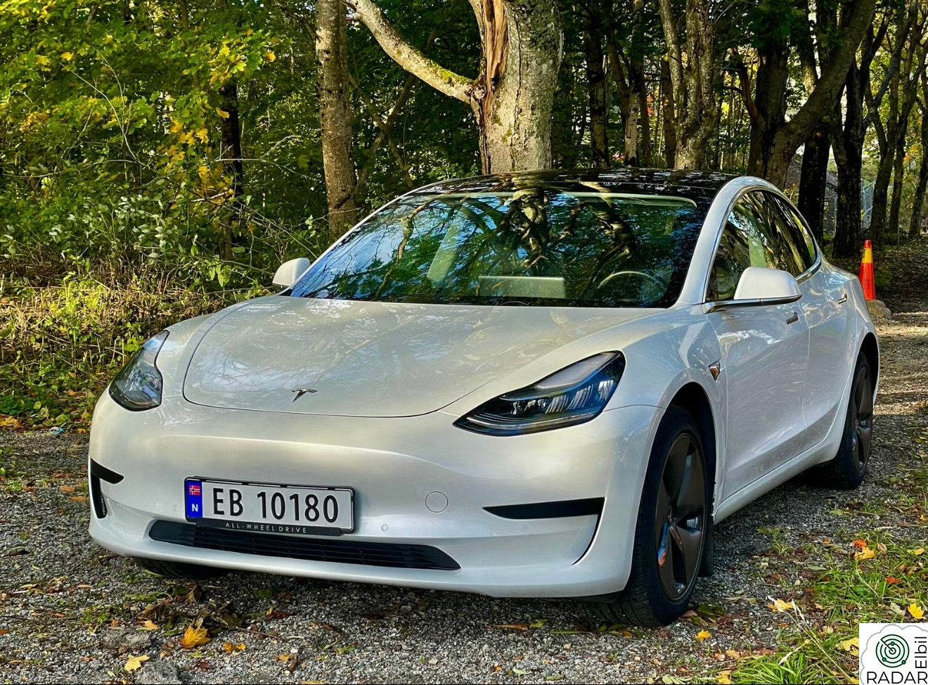 TESLA Model 3 Standard Range Plus RWD