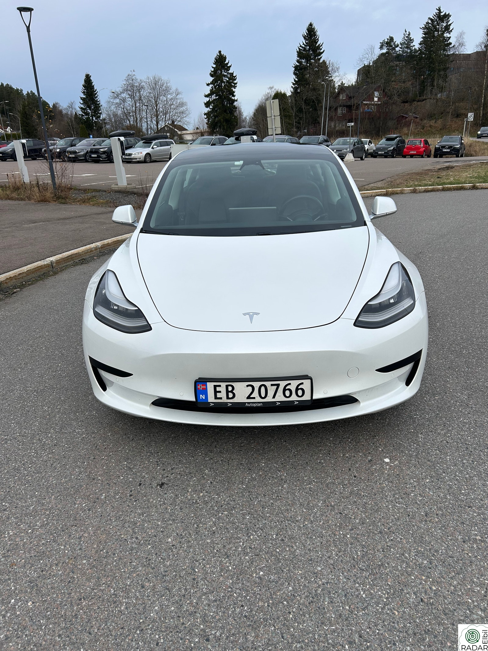 TESLA Model 3 Standard Range RWD