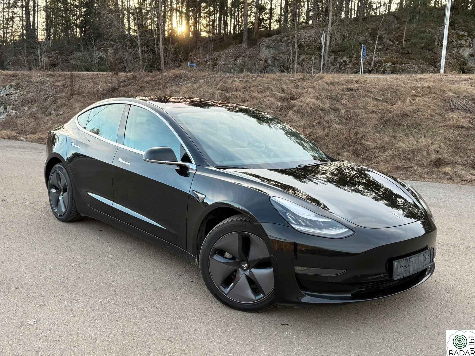 TESLA Model 3 Long Range AWD/Skinn/Pano/Autopilot/FSD/NY-EU