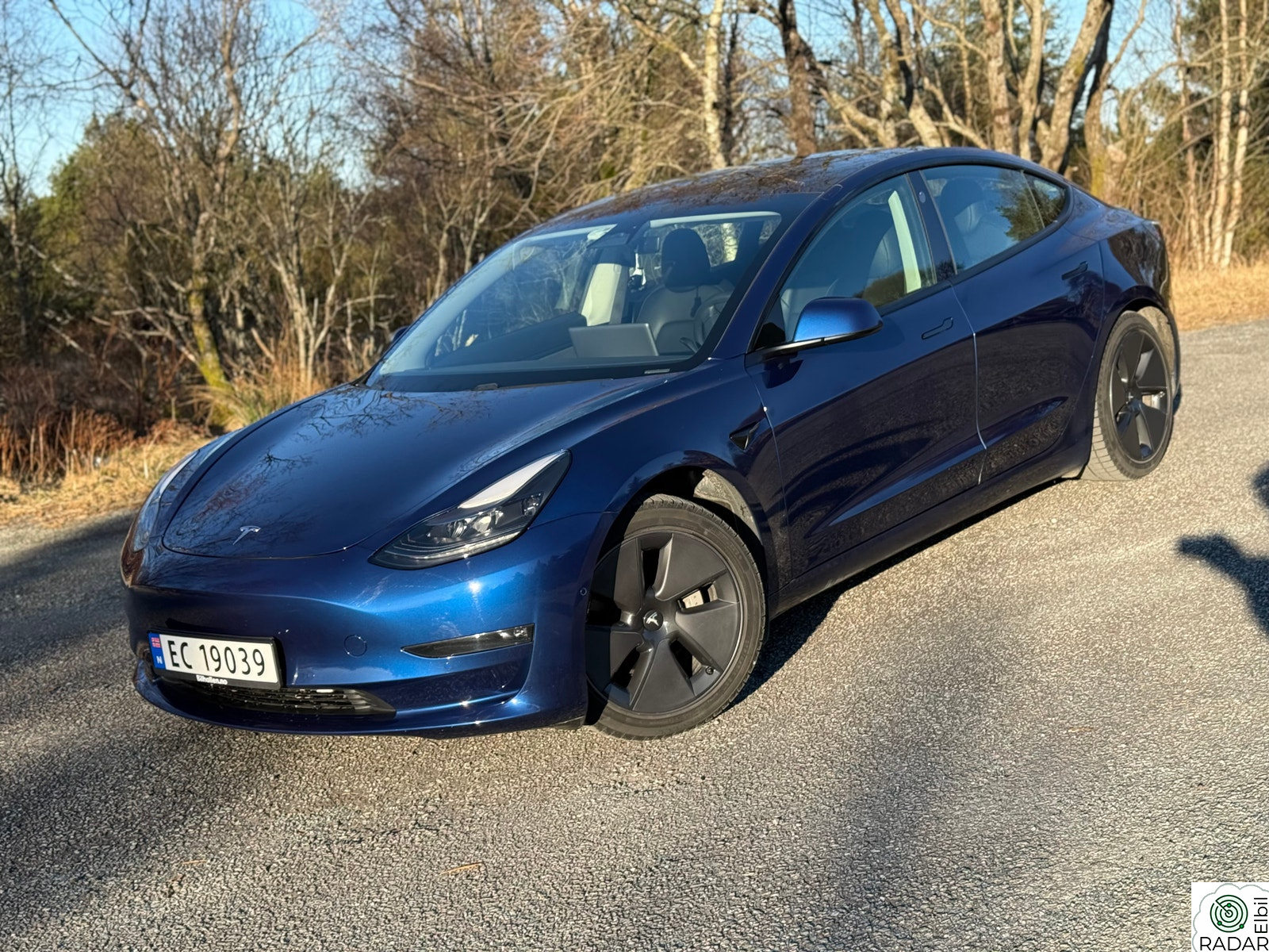 TESLA Model 3 Long Range Dual motor AWD