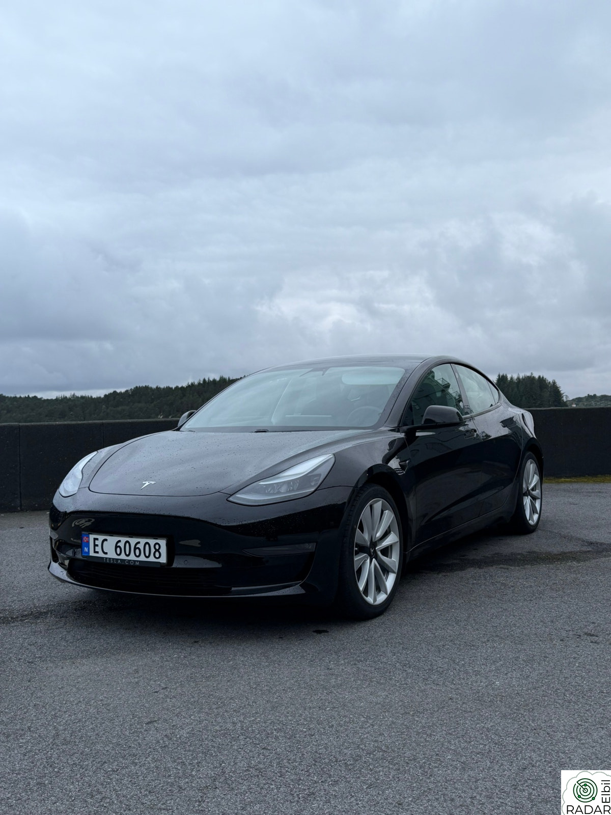 TESLA Model 3 Long Range AWD / H. Feste / V. Pumpe / Perf. upgrade