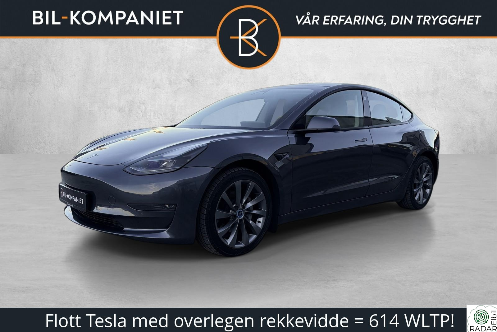 TESLA Model 3 Long Range 4WD | Skinn | Panorama | HIFI | EU 01/28