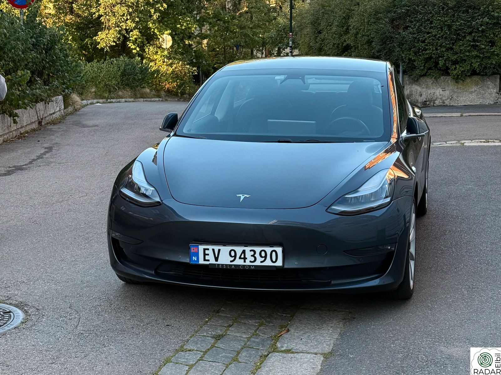 TESLA Model 3 Long Range AWD