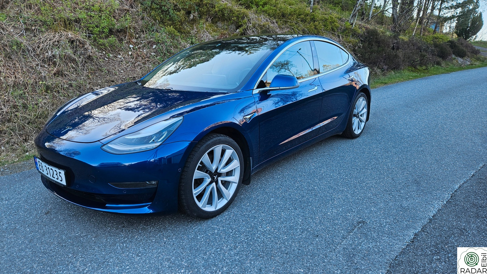 TESLA Model 3 Long Range AWD