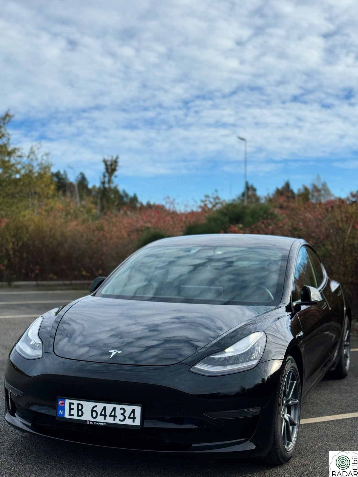 TESLA Model 3 Long range AWD