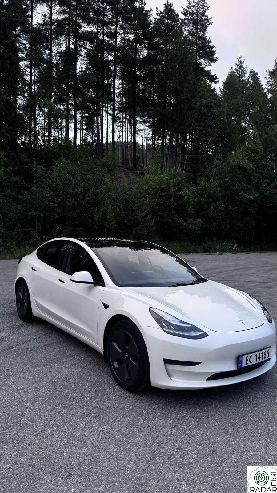 TESLA Model 3 Long Range AWD