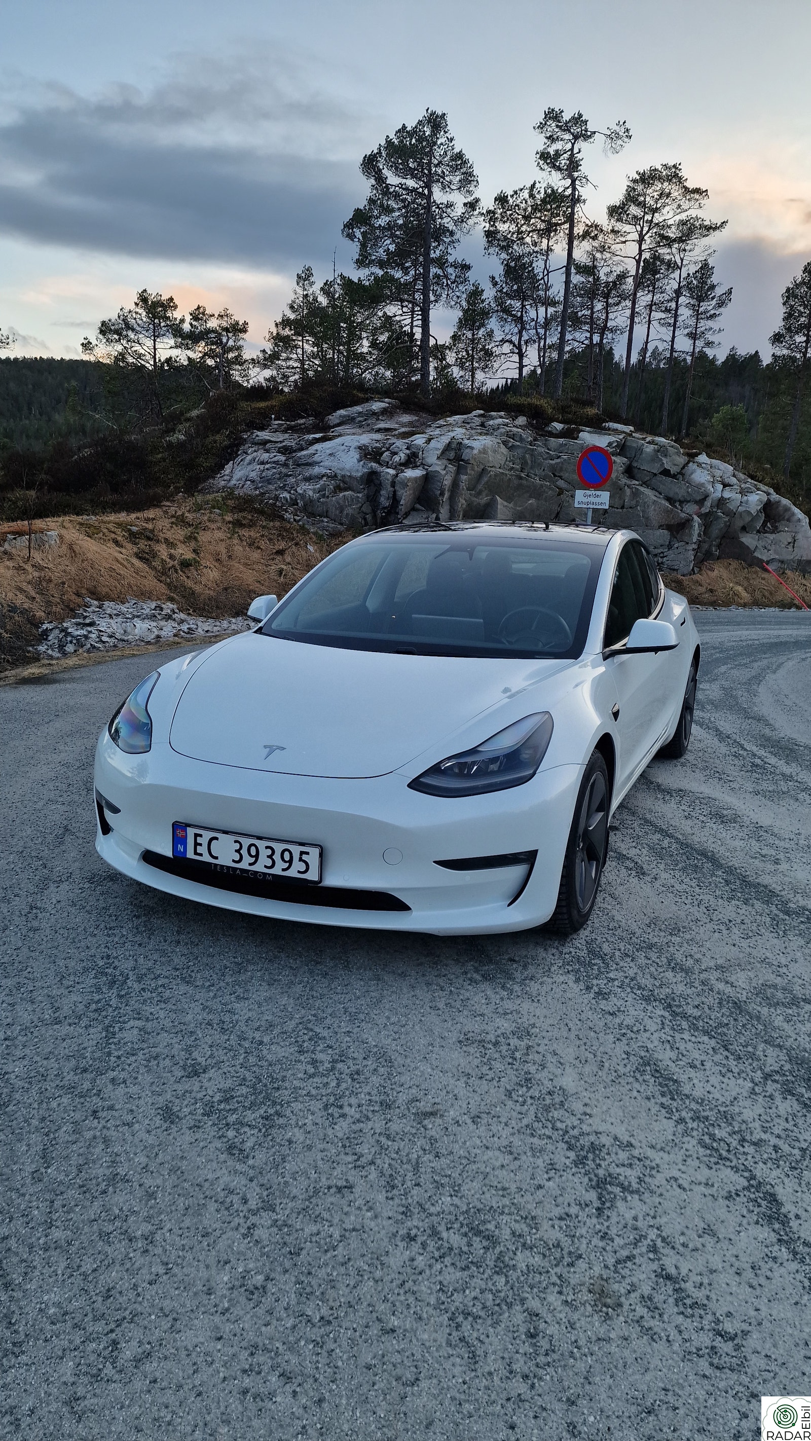 TESLA Model 3 Long Range AWD