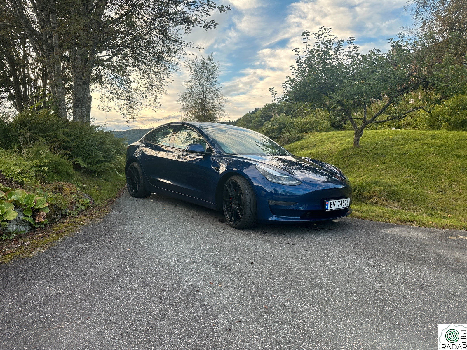 TESLA Model 3 Performance AWD