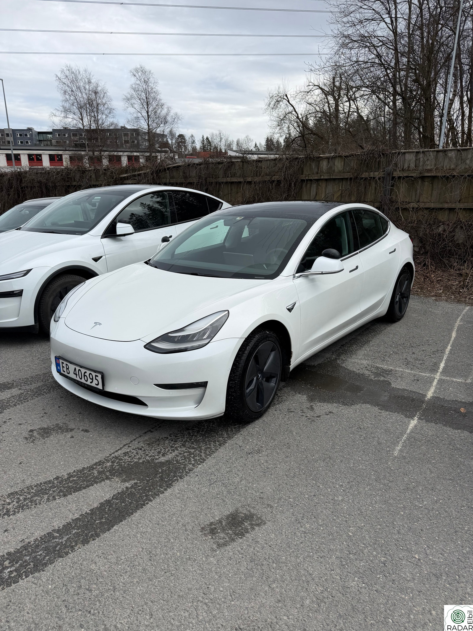 TESLA Model 3 Long Range AWD