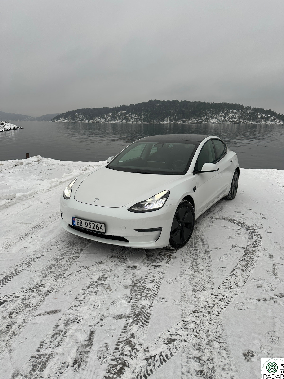 TESLA Model 3 LR AWD|AP|Skinn|Krok|Varmepumpe