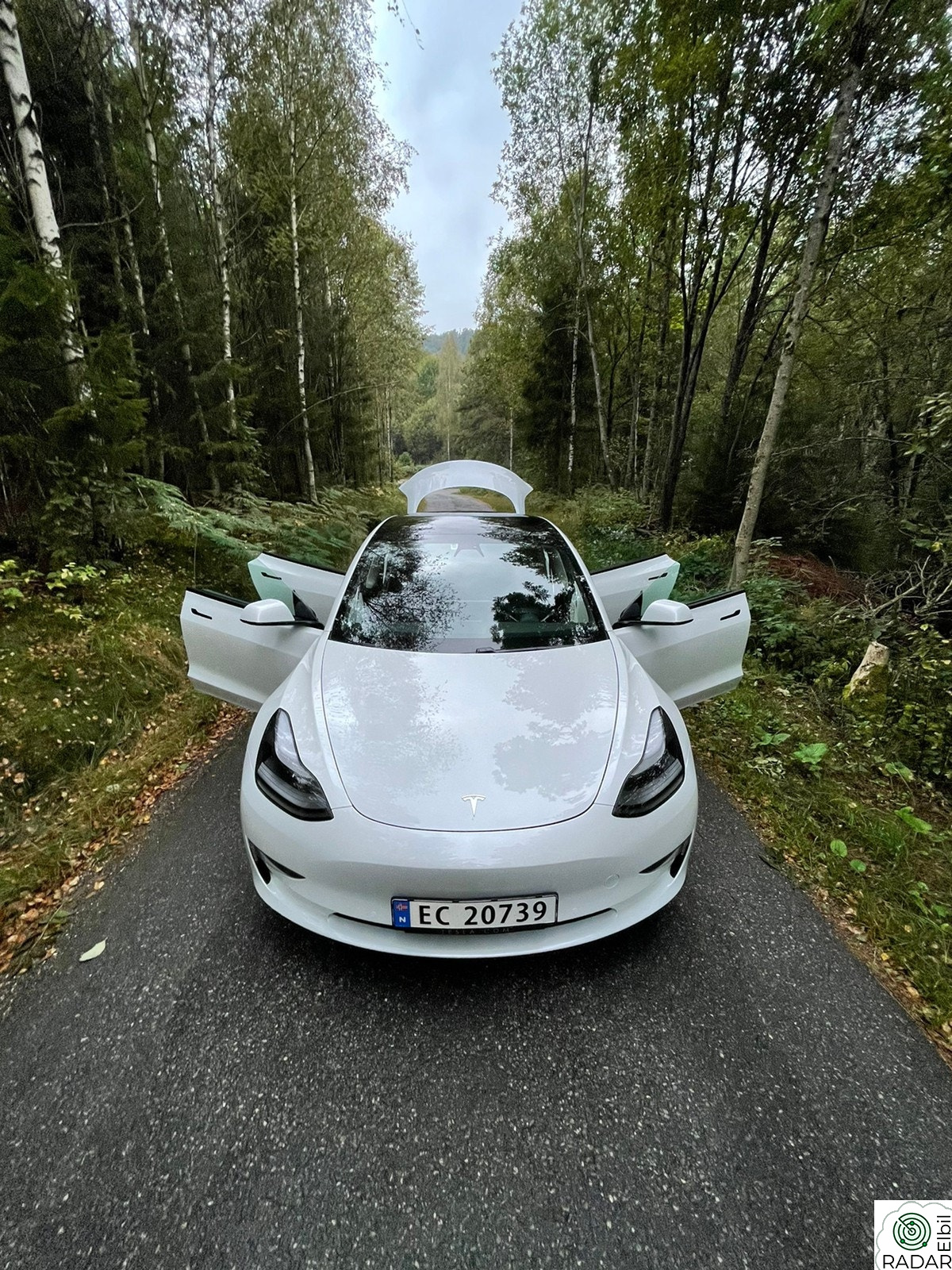 TESLA Model 3 Long Range AWD