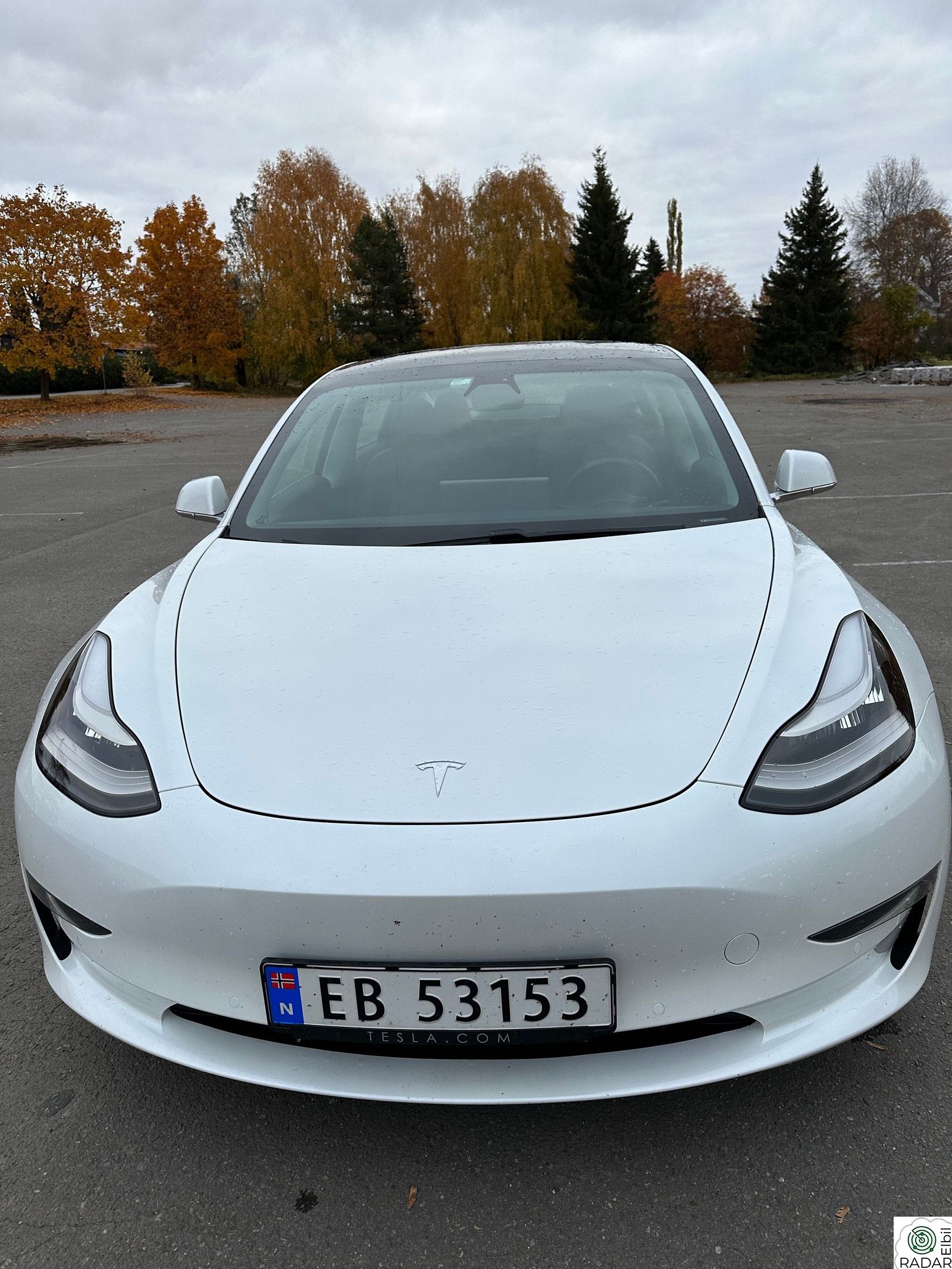 TESLA Model 3 Long Range AWD