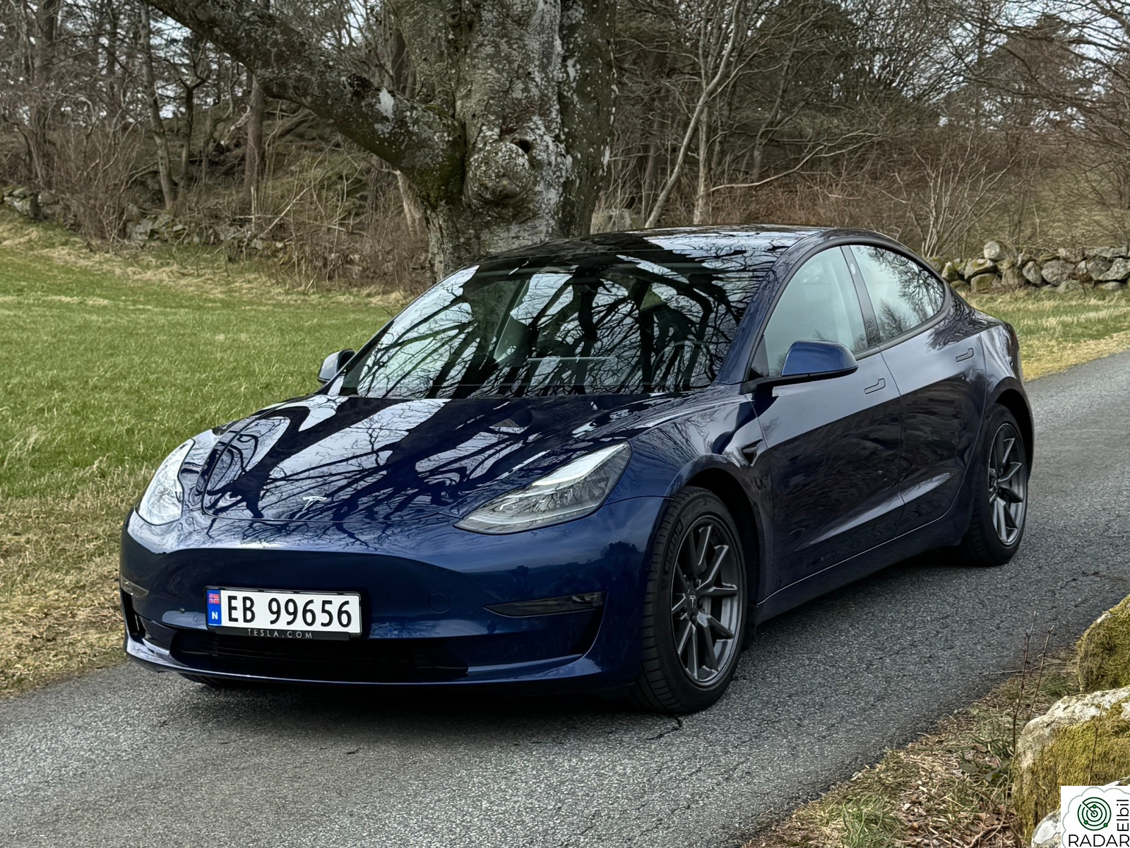 TESLA Model 3 Long Range AWD