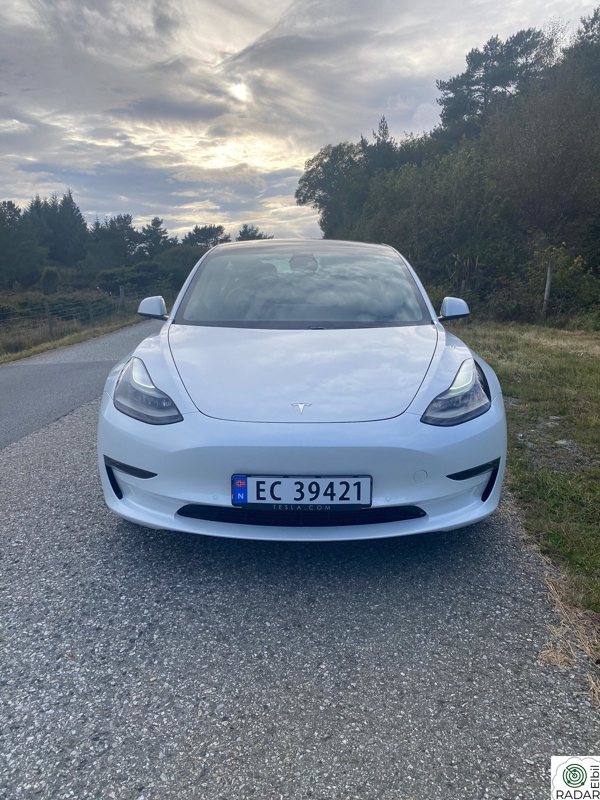 TESLA Model 3 MODEL 3 158KW Long Range AWD 614km