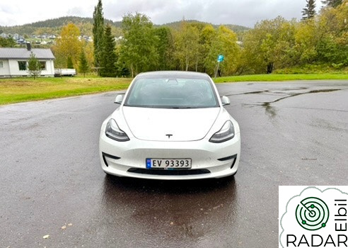 TESLA Model 3 Performance