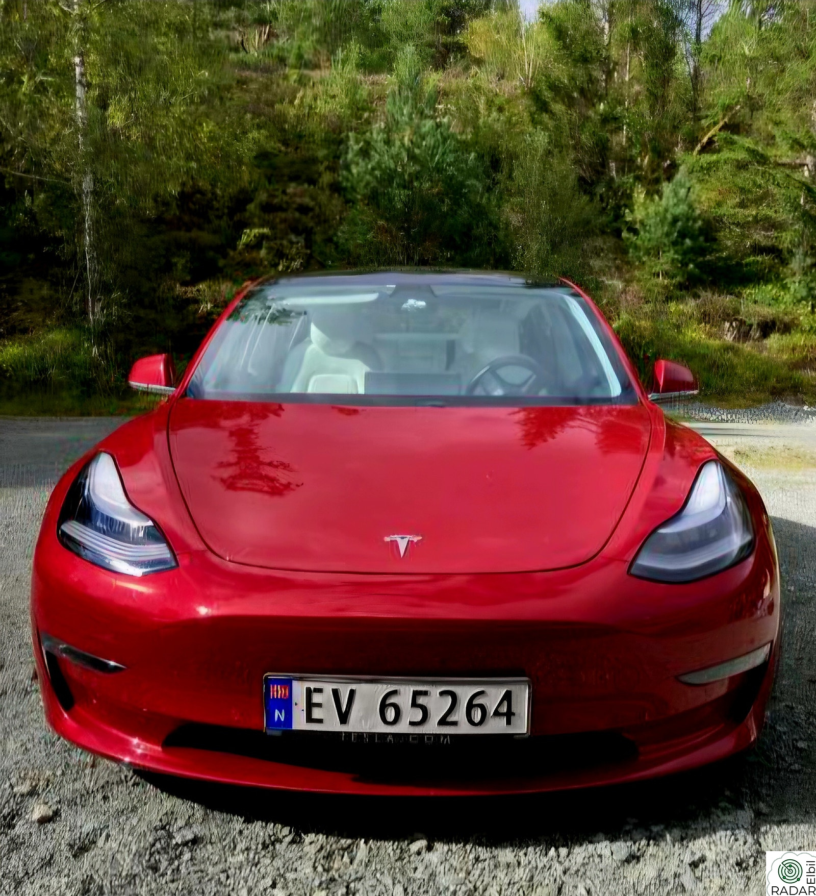 TESLA Model 3 Long Range AWD