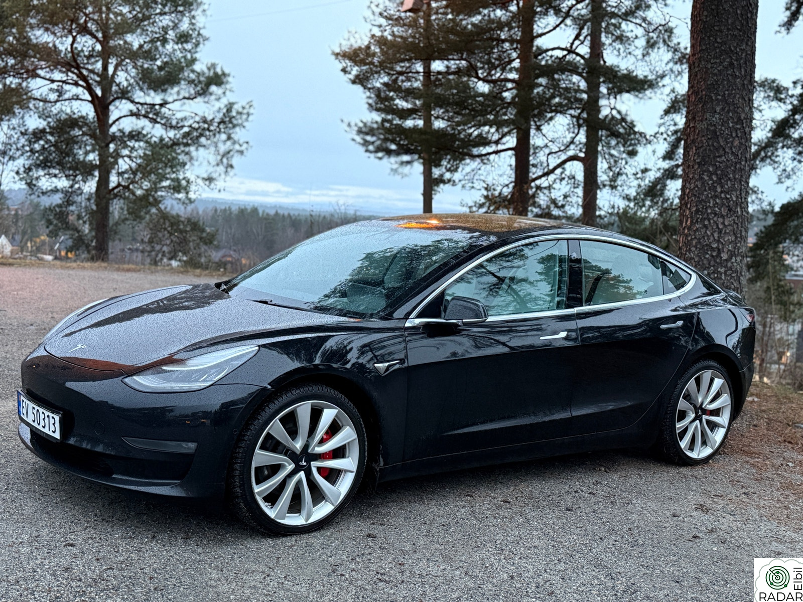 TESLA Model 3 Performance AWD