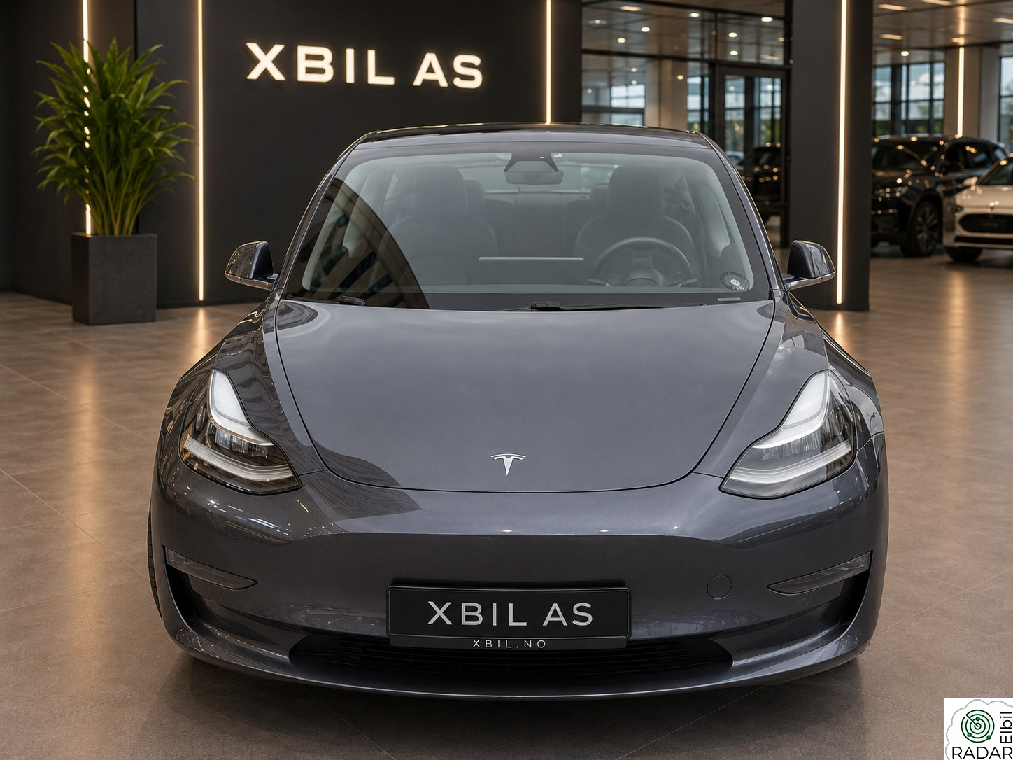 TESLA Model 3 Long Range AWD/Autopilot /PREMIUM/