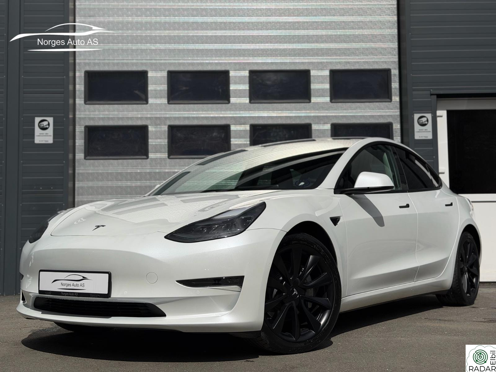 TESLA Model 3 Long Range AWD | Skinn | AP | H.Feste