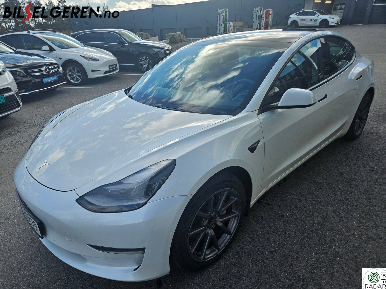 TESLA Model 3 Long Range AWD | Skinn | AP | H.Feste
