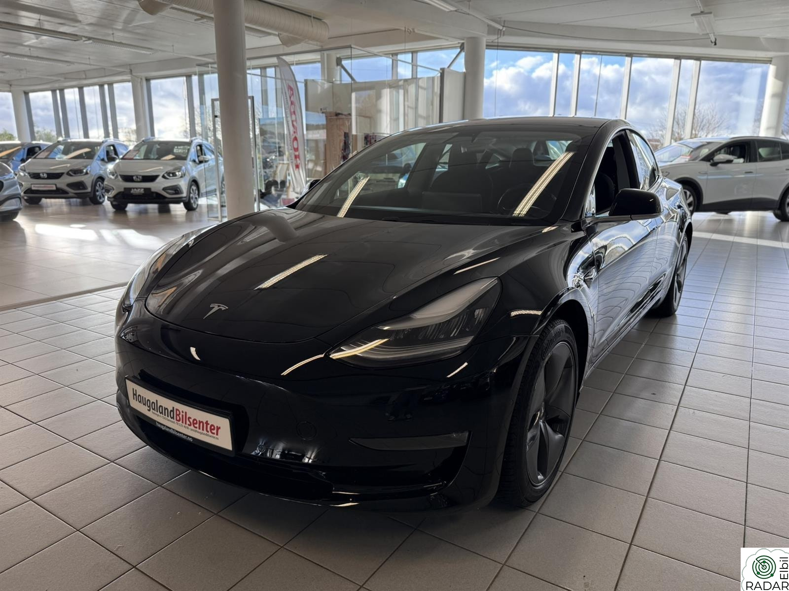 TESLA Model 3 Long Range AWD m/AP/Skinn/Glasstak++