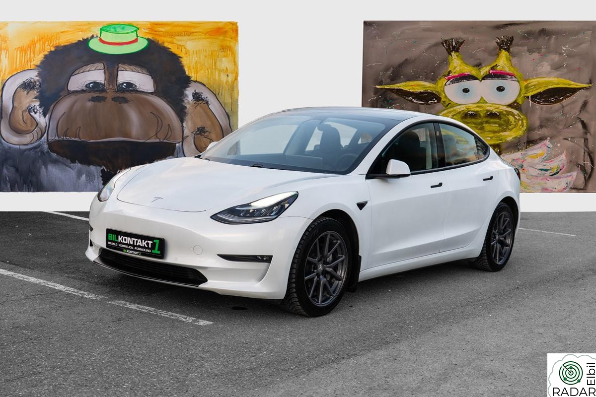 TESLA Model 3 SKINN l AP l LAV KM l PREMIUM l GLASSTAK l VARMER APP