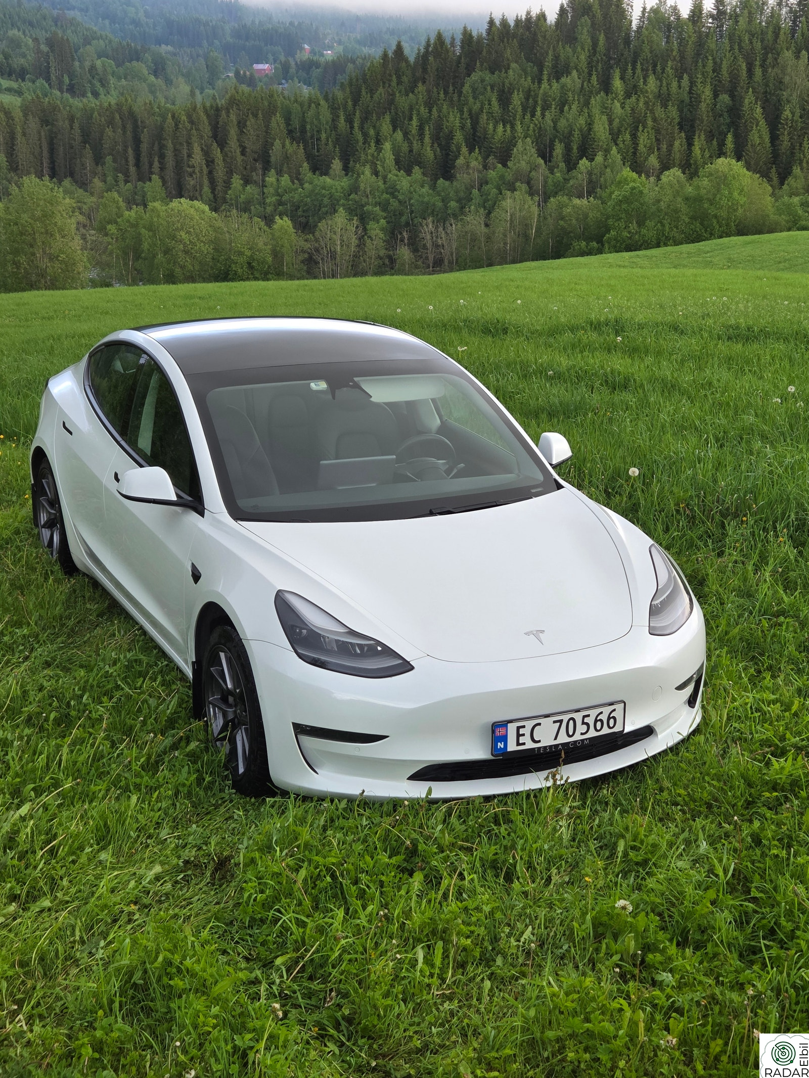 TESLA Model 3 Long Range AWD