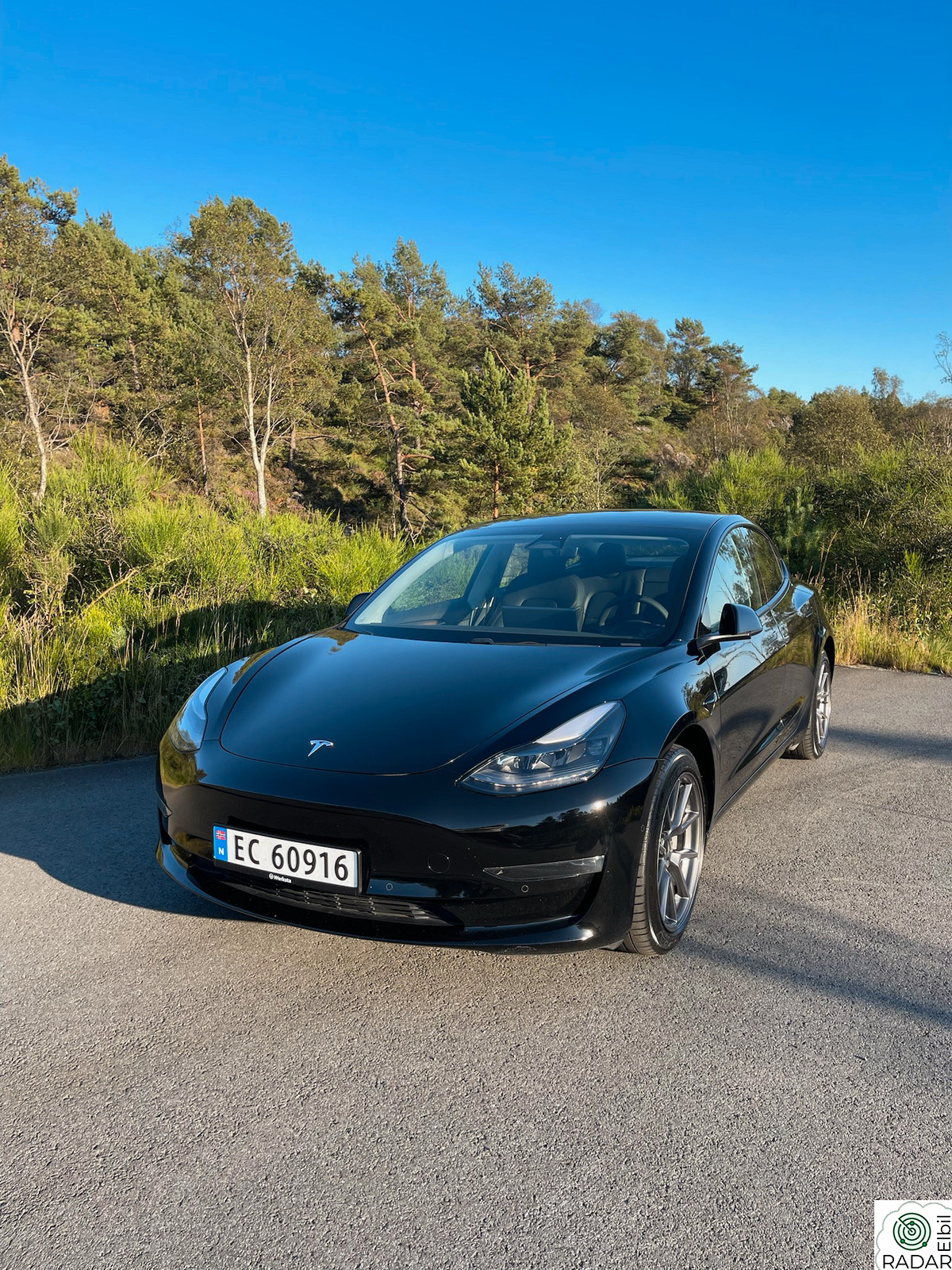 TESLA Model 3 Long Range AWD