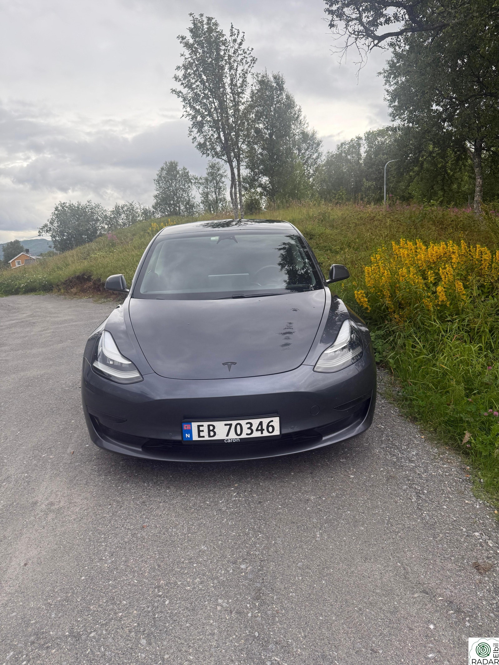 TESLA Model 3 Long Range AWD