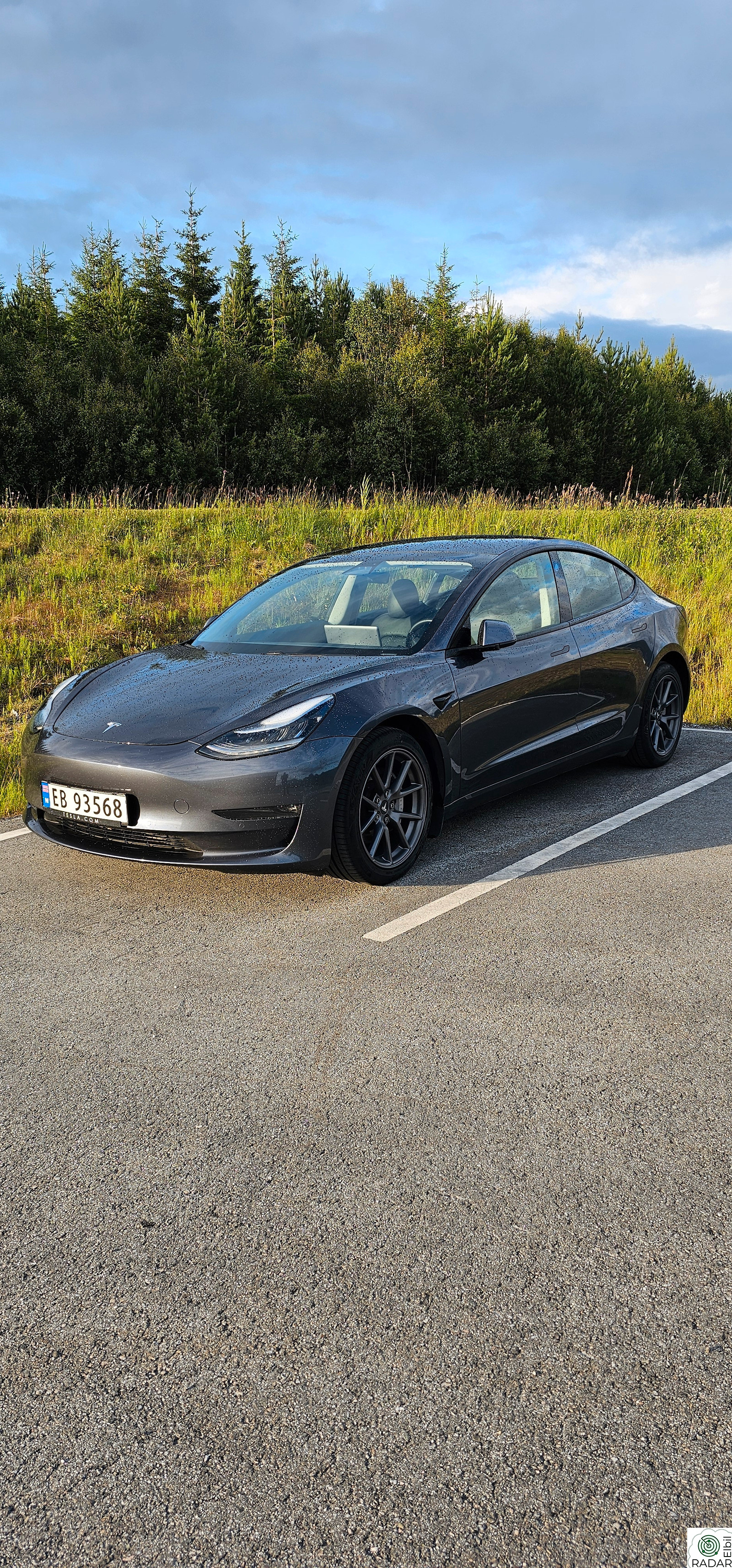 TESLA Model 3 Long Range AWD