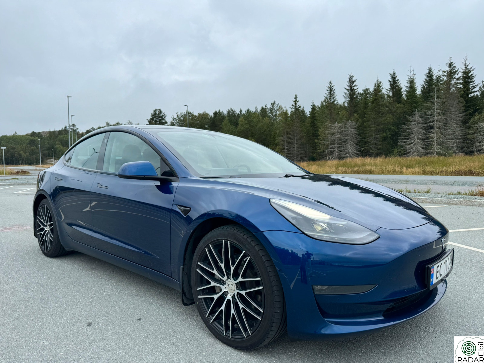 TESLA Model 3 LONG RANGE, AWD, SKINN, PREMIUM