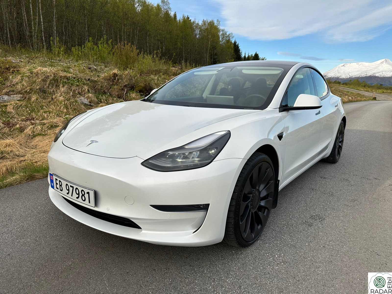 TESLA Model 3 Performance AWD