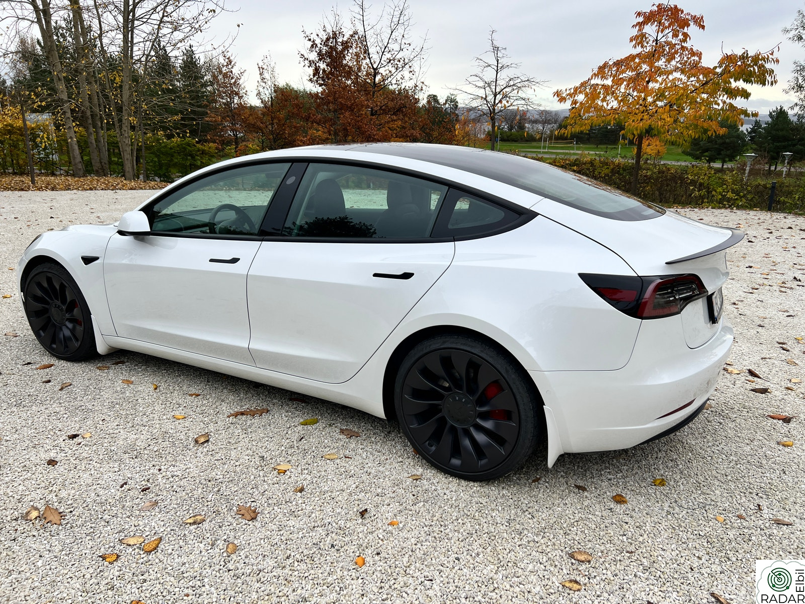 TESLA Model 3 Performance