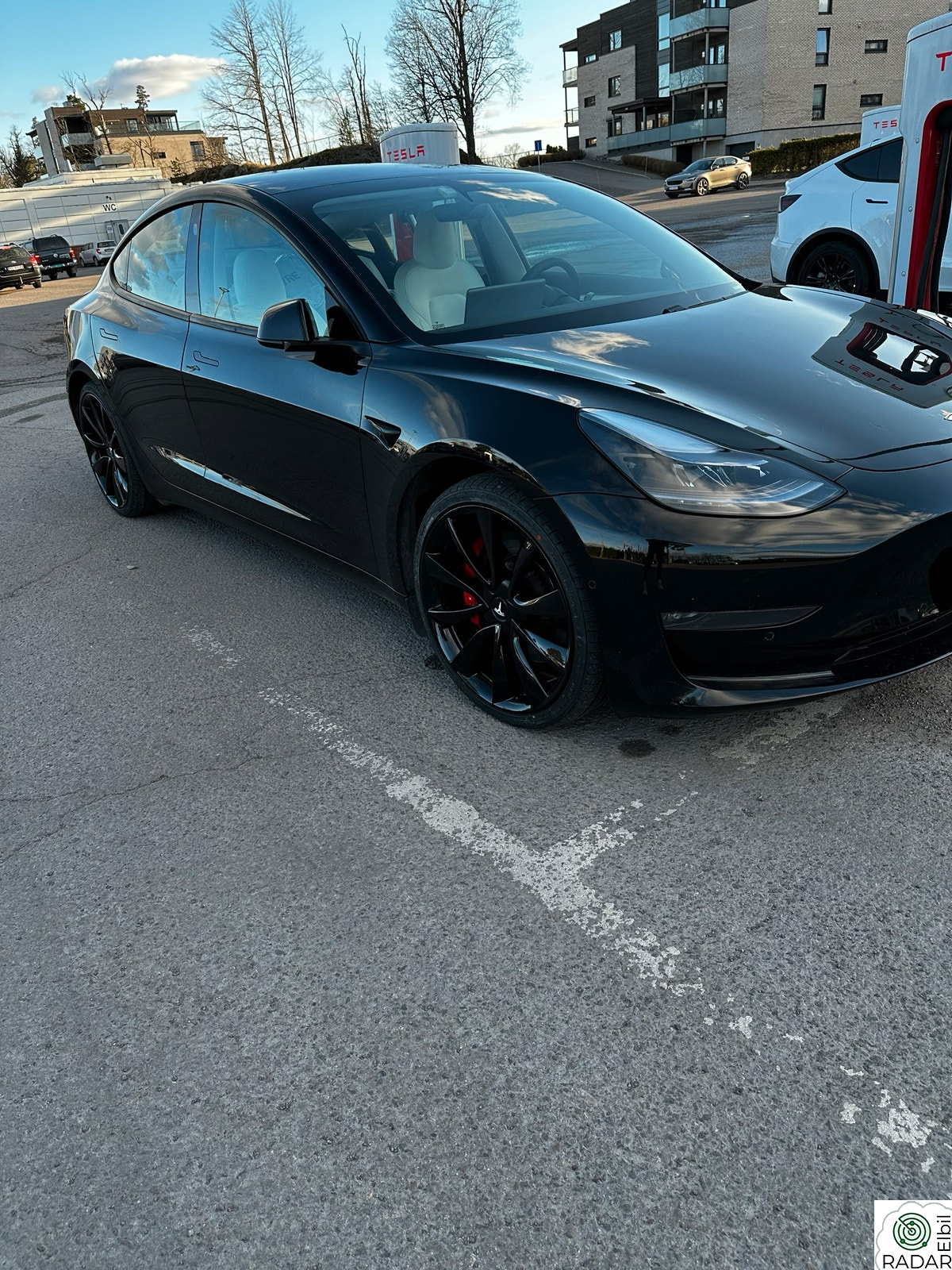 TESLA Model 3 Performance