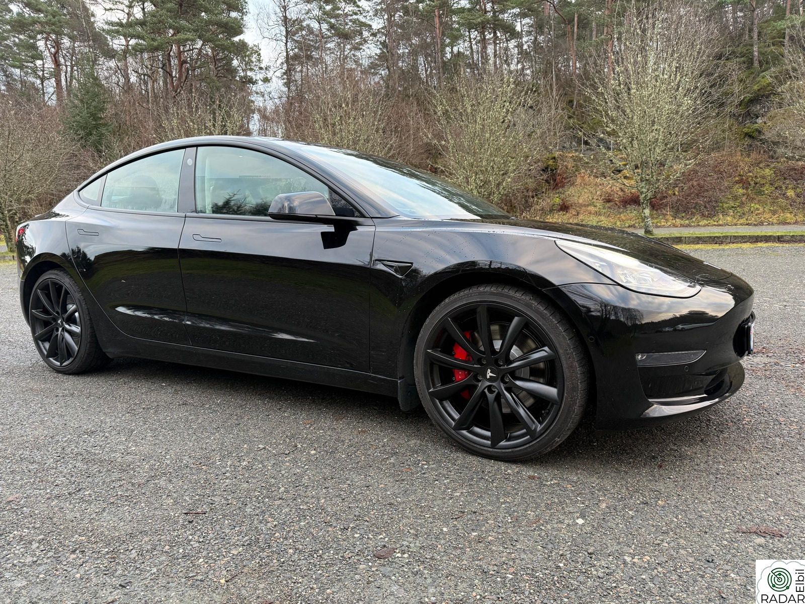 TESLA Model 3 Performance AWD