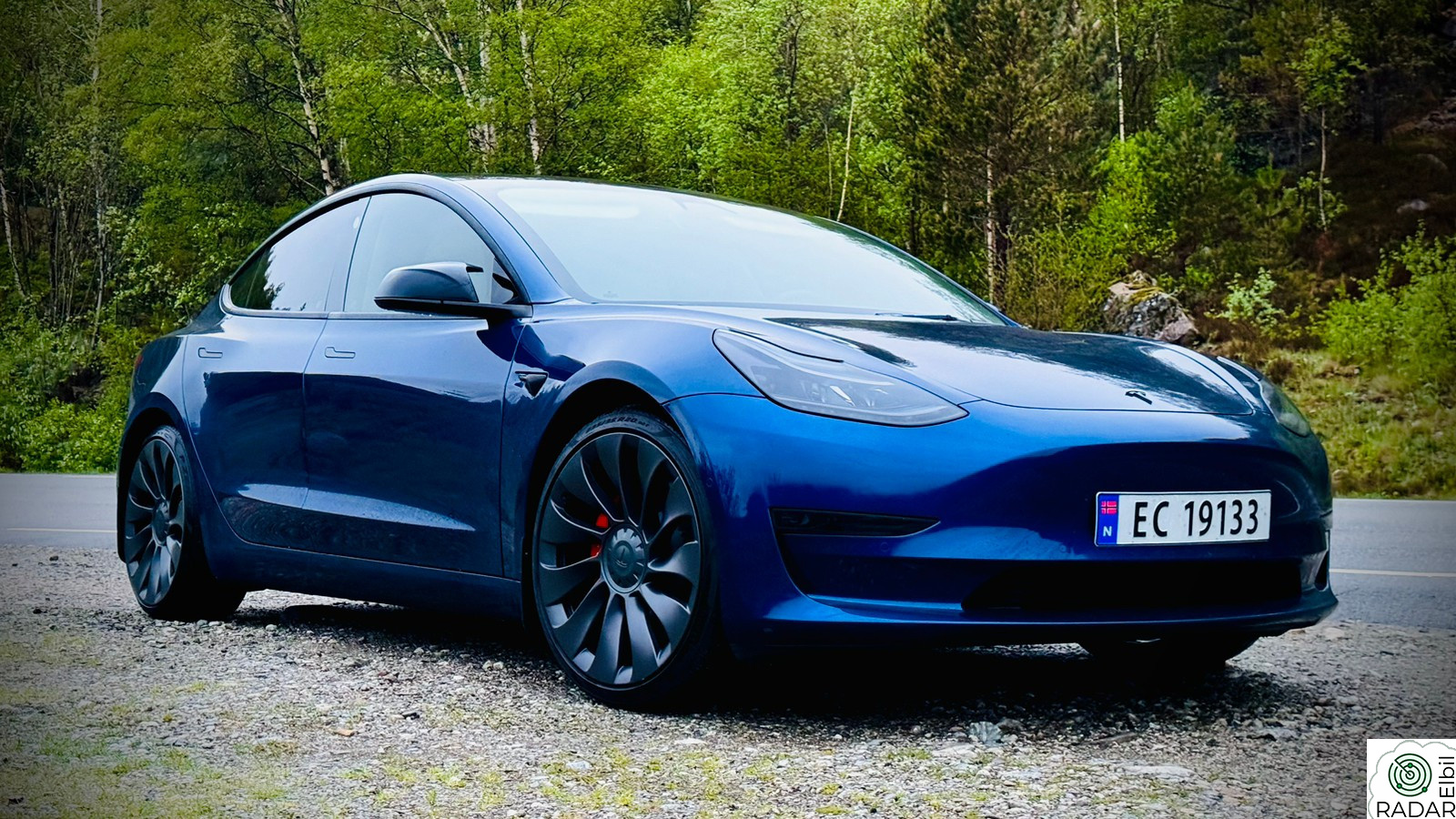 TESLA Model 3 Performance AWD +++