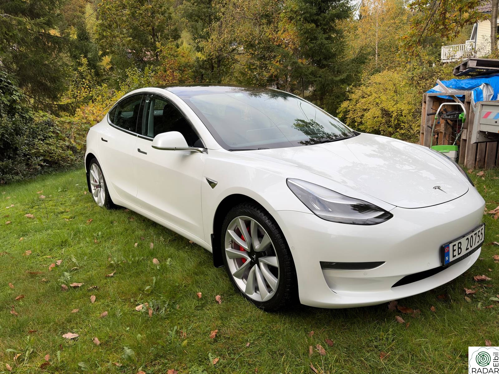 TESLA Model 3 Tesla Model 3 Performance 2020