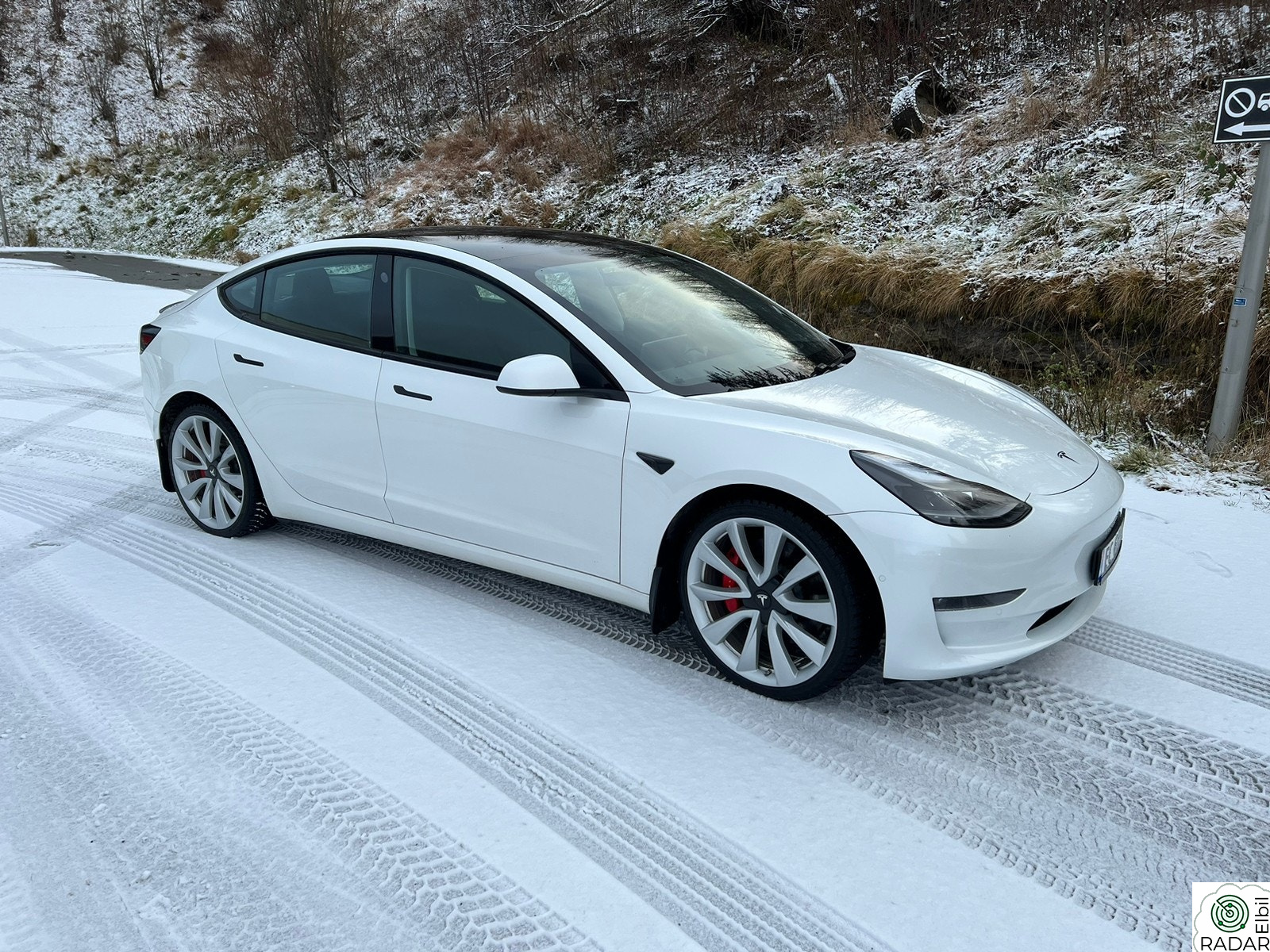 TESLA Model 3 Performance/EAP/HomeLink/AWD/20"