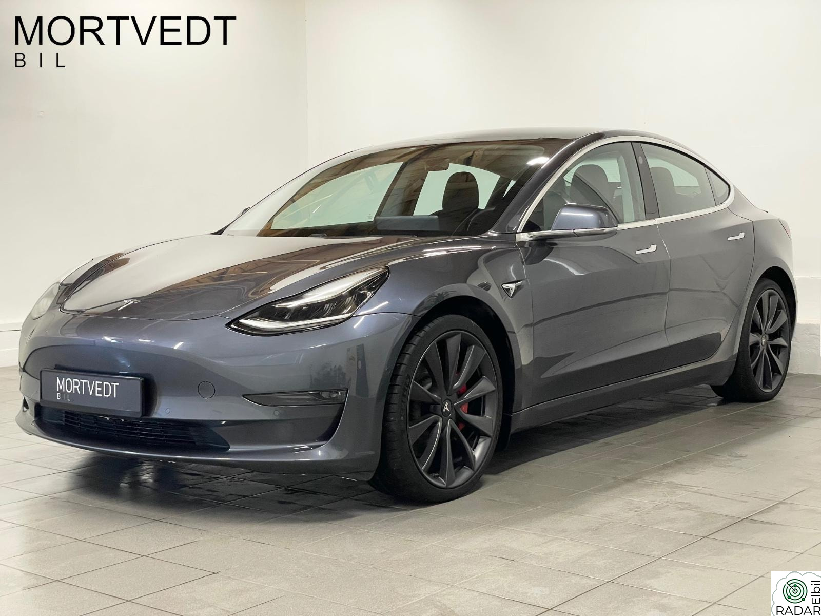 TESLA Model 3 Performance,Autopilot,Skinn,Panorama