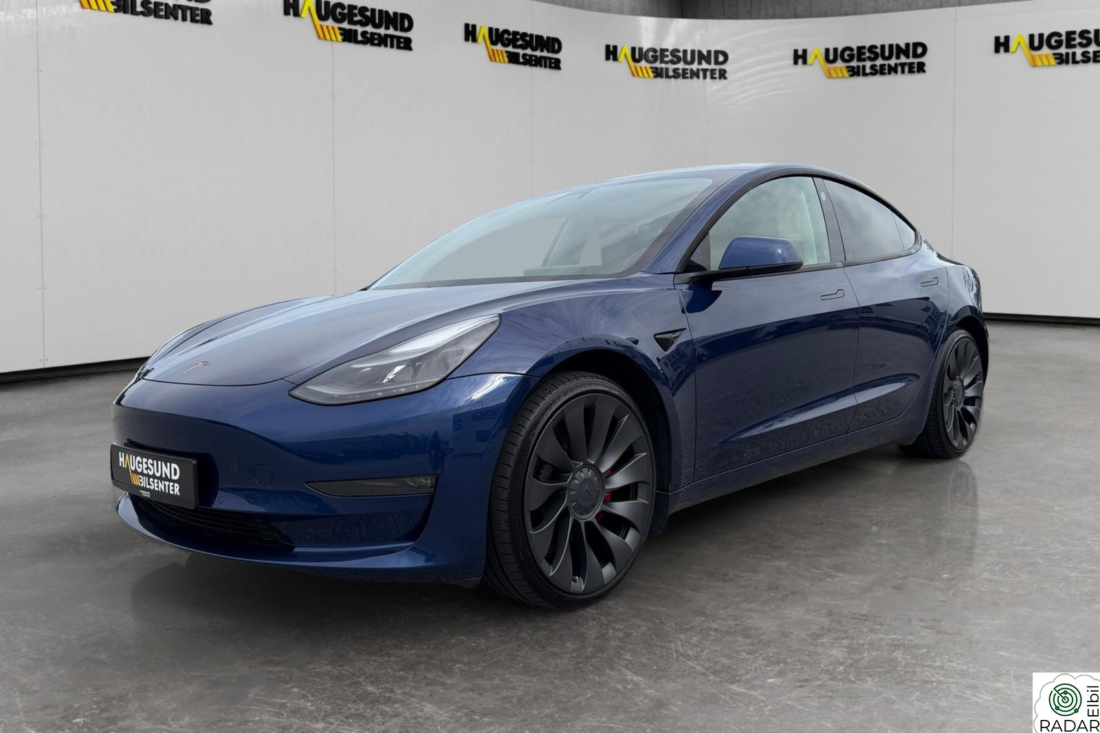 TESLA Model 3 Performance AWD | 20" + 20" | Panorama | EU 07/28
