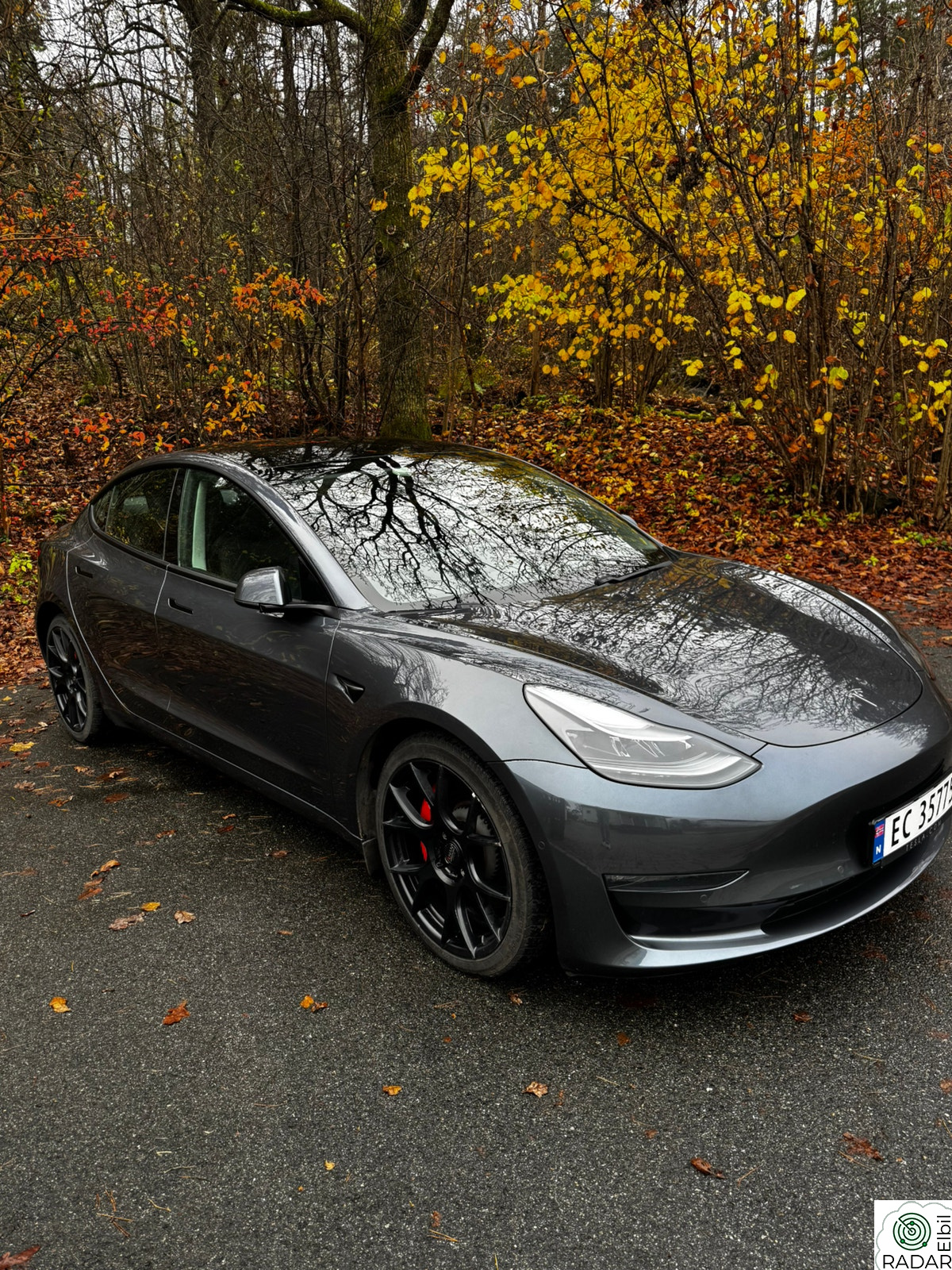TESLA Model 3 Performance AWD